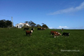 Property photo of 288 Irishtown Road Smithton TAS 7330
