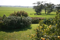 Property photo of 288 Irishtown Road Smithton TAS 7330