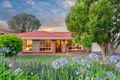 Property photo of 46 Wigley Drive McLaren Vale SA 5171
