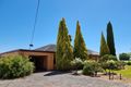 Property photo of 47 Sunnycliffs Crescent Red Cliffs VIC 3496
