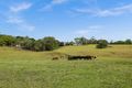 Property photo of 620 Friday Hut Road Possum Creek NSW 2479
