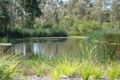 Property photo of 10 Glider Close Wakerley QLD 4154