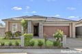 Property photo of 30 Glass House Boulevard Minto NSW 2566