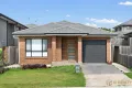 Property photo of 10 McClintock Drive Minto NSW 2566