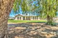 Property photo of 759 Light Pass Road Angaston SA 5353