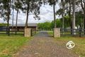 Property photo of 191 King Road Harkaway VIC 3806