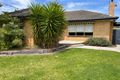 Property photo of 25 Percival Street Oak Park VIC 3046