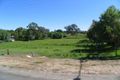 Property photo of 35 Mill Street Meadows SA 5201
