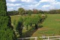 Property photo of 202 Joadja Road Mandemar NSW 2575