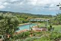 Property photo of 21 Belshaw Lane Diddillibah QLD 4559