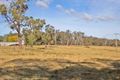 Property photo of 210 Braddocks Road Werombi NSW 2570