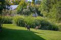 Property photo of 44/15 Rainforest Sanctuary Drive Buderim QLD 4556