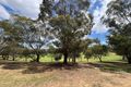 Property photo of 144 Warrigal Road Camberwell VIC 3124