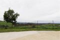 Property photo of 116 Mayday Road Batlow NSW 2730