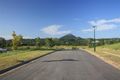 Property photo of 14 Viv Hull Avenue Eumundi QLD 4562
