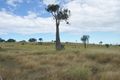 Property photo of 3789 Capricorn Highway Westwood QLD 4702