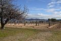 Property photo of 147 Ricca Road Ballandean QLD 4382