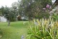 Property photo of 52 Bevington Street Sandgate QLD 4017