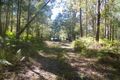 Property photo of 688 Schumanns Road Eungella QLD 4757