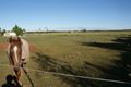 Property photo of 20 Plantation Street Dundowran QLD 4655