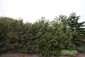 Property photo of 1/58 Military Road Tennyson SA 5022