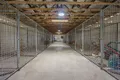 Property photo of 6 Hillview Drive Muirlea QLD 4306