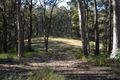 Property photo of 289 Minimbah Road Minimbah NSW 2312