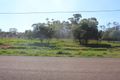 Property photo of 21 Singleton Drive Cobar NSW 2835