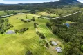 Property photo of 166 Tamban Road Eungai Creek NSW 2441