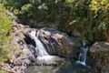 Property photo of 20 Kippin Close Redlynch QLD 4870