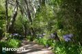Property photo of 494 Musk Creek Road Flinders VIC 3929