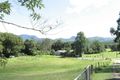 Property photo of 801 Numinbah Road Crystal Creek NSW 2484