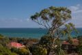 Property photo of 14 Coburn Avenue McCrae VIC 3938