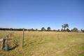 Property photo of 41 Phillips Road Inverleigh VIC 3321