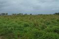 Property photo of 12 Carlton Road Alligator Creek QLD 4740