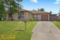 Property photo of 37 Goodsell Street Minto NSW 2566