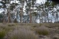 Property photo of 48 Youngs Road Apollo Bay TAS 7150
