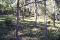 Property photo of 45 Lochner Street Latrobe TAS 7307