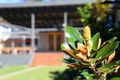 Property photo of 7 Carinya Street Charmhaven NSW 2263