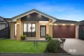 Property photo of 11 Liewah Circuit Craigieburn VIC 3064