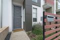 Property photo of 7 Clyde Road Lightsview SA 5085