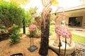 Property photo of 16 Cycad Court Norman Gardens QLD 4701