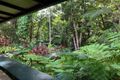 Property photo of 12 Mason Road Kuranda QLD 4881