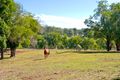 Property photo of 235-245 Dennis Road Cedar Vale QLD 4285