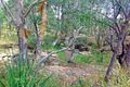 Property photo of 181-185 Myrtle Road Jimboomba QLD 4280