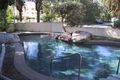 Property photo of 5/83 Parkyn Parade Mooloolaba QLD 4557
