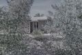 Property photo of 214 French Road Loxton SA 5333