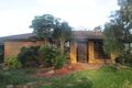 Property photo of 13 Riesling Street Muswellbrook NSW 2333
