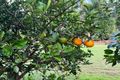 Property photo of 145 Eureka Station Road Eureka QLD 4660