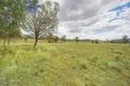 Property photo of 25 Scrub Road Gunalda QLD 4570